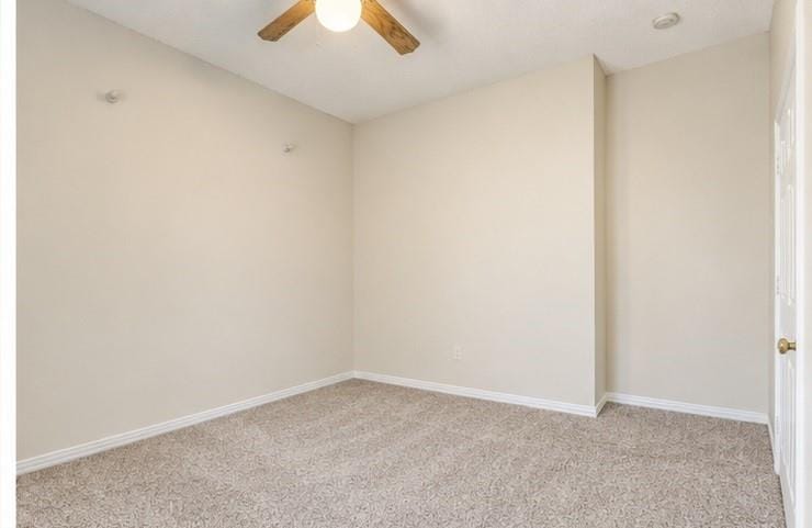 4309 Staten Island Drive, Plano TX 75024 - Photo 24