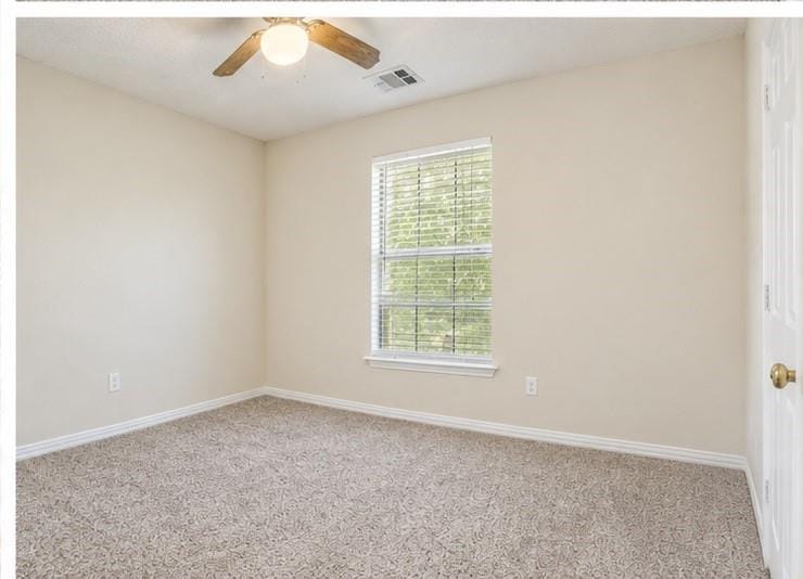 4309 Staten Island Drive, Plano TX 75024 - Photo 25