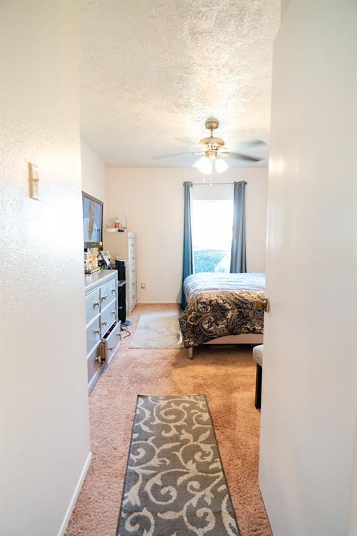 27 W Townhouse Lane, Grand Prairie TX 75052 - Photo 14