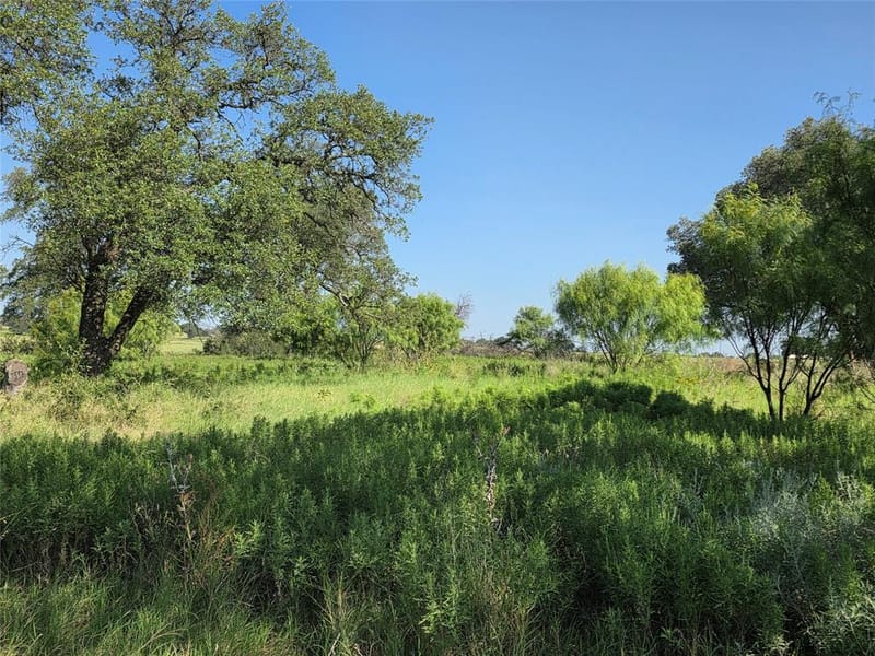 2195 Fm-585, Bangs TX 76823 - Photo 36