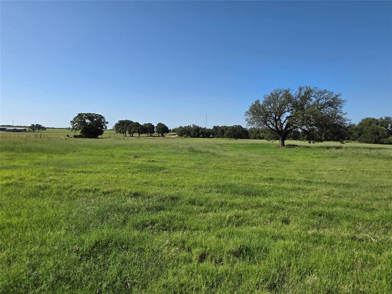 2195 Fm-585, Bangs TX 76823 - Photo 32