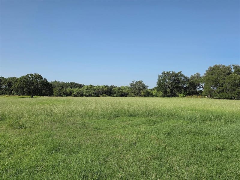 2195 Fm-585, Bangs TX 76823 - Photo 34