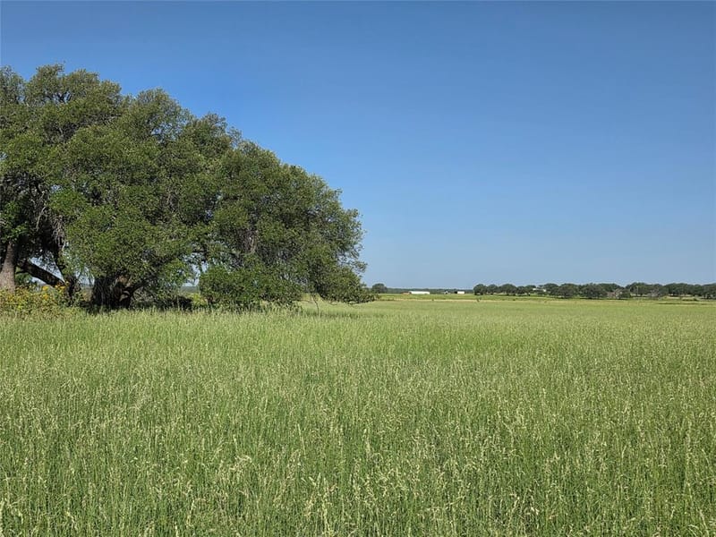 2195 Fm-585, Bangs TX 76823 - Photo 38