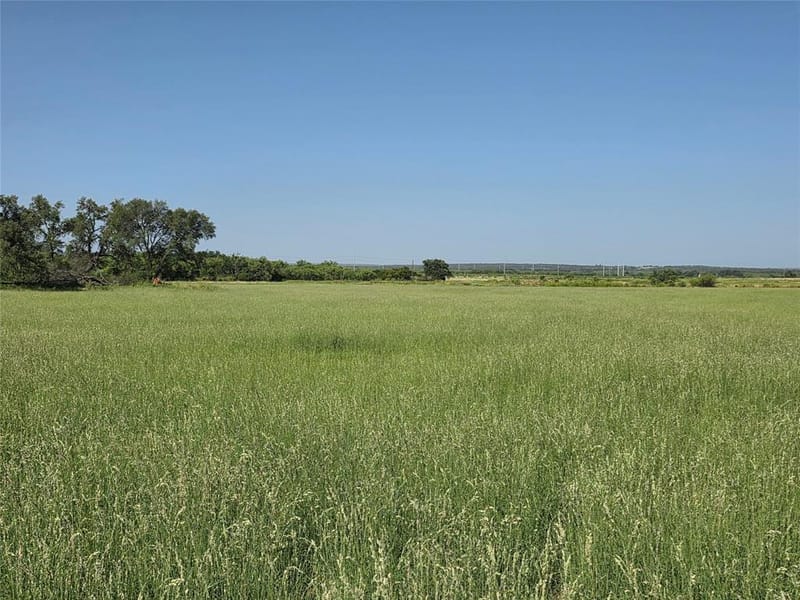 2195 Fm-585, Bangs TX 76823 - Photo 33