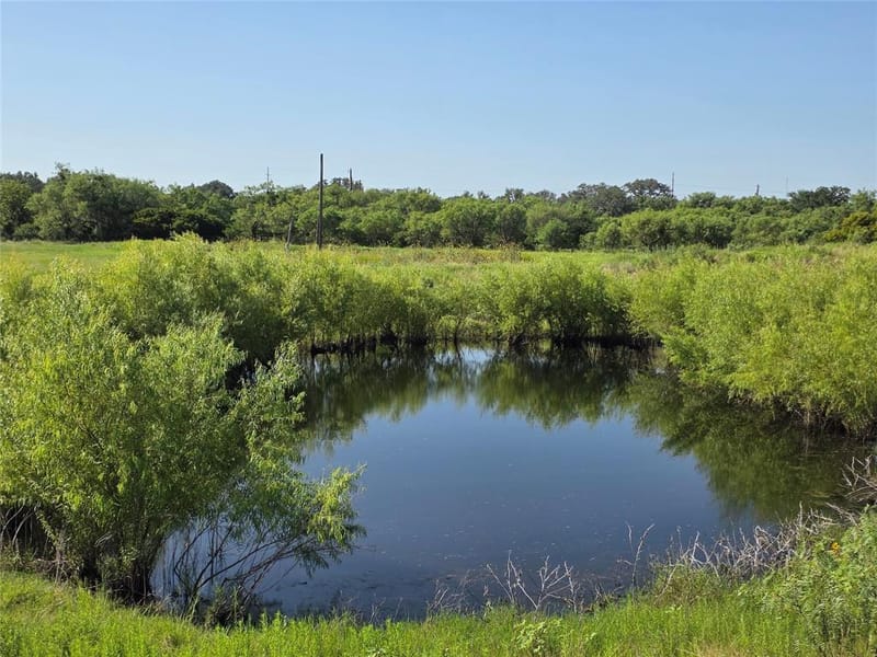 2195 Fm-585, Bangs TX 76823 - Photo 37