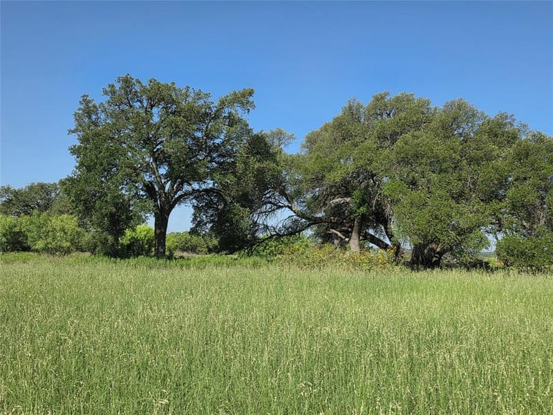 2195 Fm-585, Bangs TX 76823 - Photo 35
