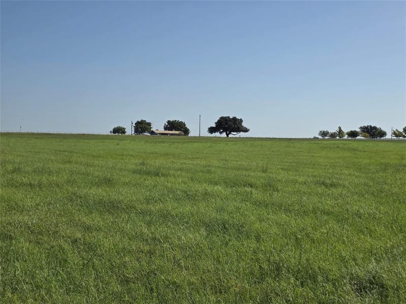 2195 Fm-585, Bangs TX 76823 - Photo 39
