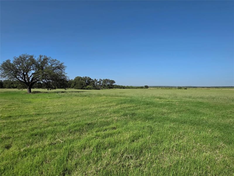 2195 Fm-585, Bangs TX 76823 - Photo 29