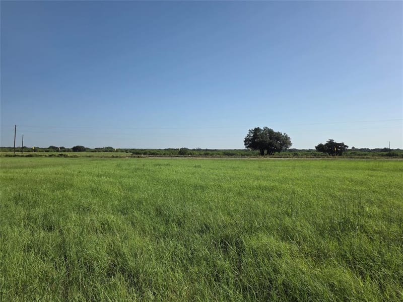 2195 Fm-585, Bangs TX 76823 - Photo 25