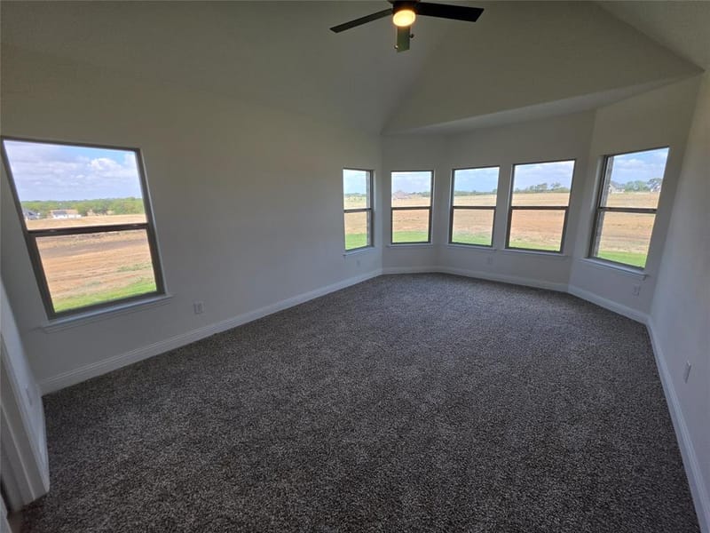 1321 Enloe Road, Howe TX 75459 - Photo 14