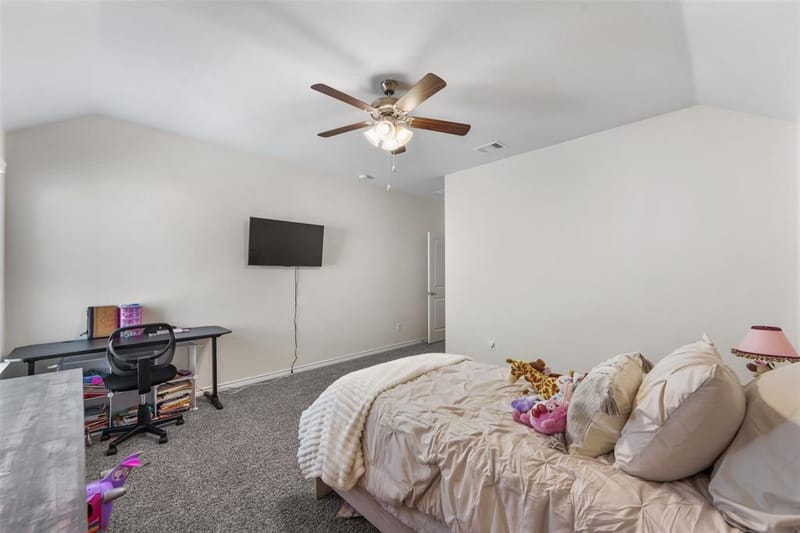 10608 Plumlee Lane, Aubrey TX 76227 - Photo 29