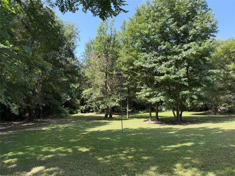 309 County Road Se 4330, Winnsboro TX 75494 - Photo 12