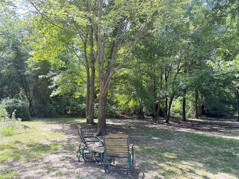 309 County Road Se 4330, Winnsboro TX 75494 - Photo 11