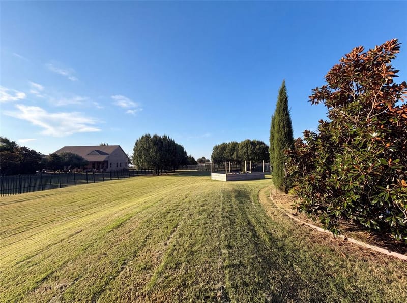 6530 Swallow Court, Celina TX 75071 - Photo 19