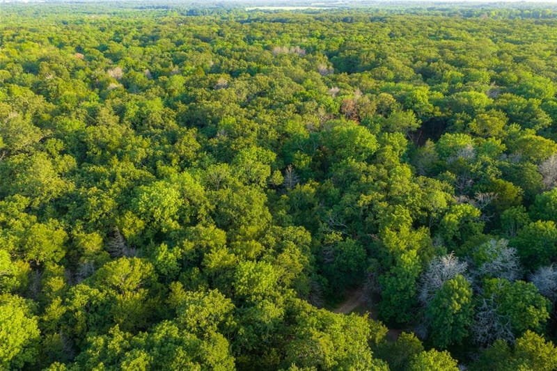 10100 County Road 4028, Kemp TX 75143 - Photo 32
