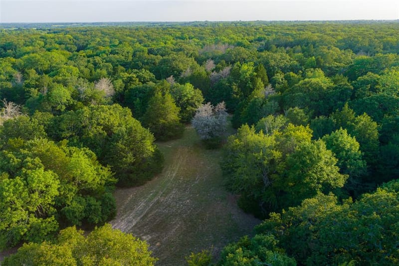 10100 County Road 4028, Kemp TX 75143 - Photo 28
