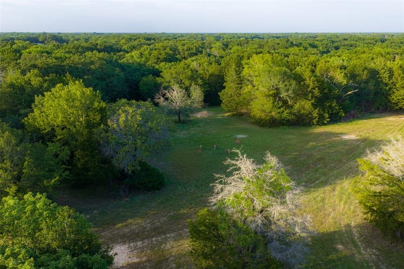 10100 County Road 4028, Kemp TX 75143 - Photo 24