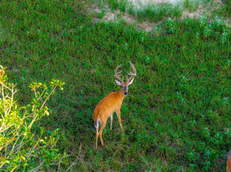 10100 County Road 4028, Kemp TX 75143 - Photo 34