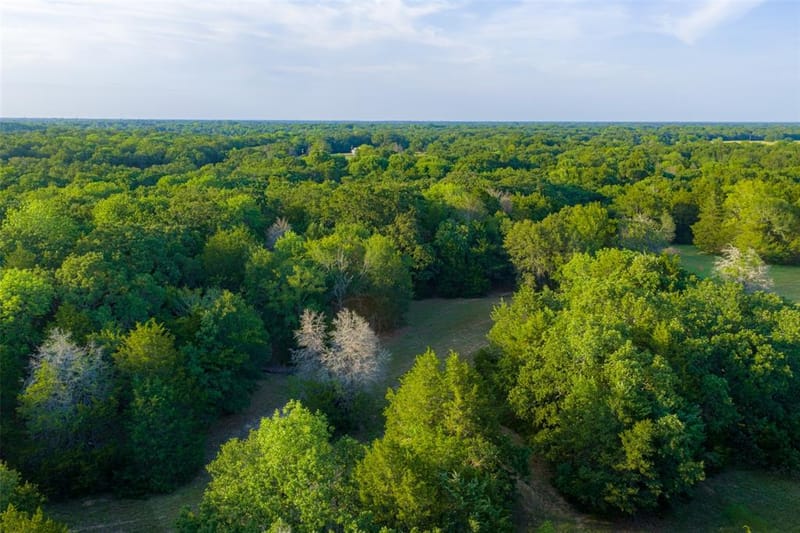 10100 County Road 4028, Kemp TX 75143 - Photo 37
