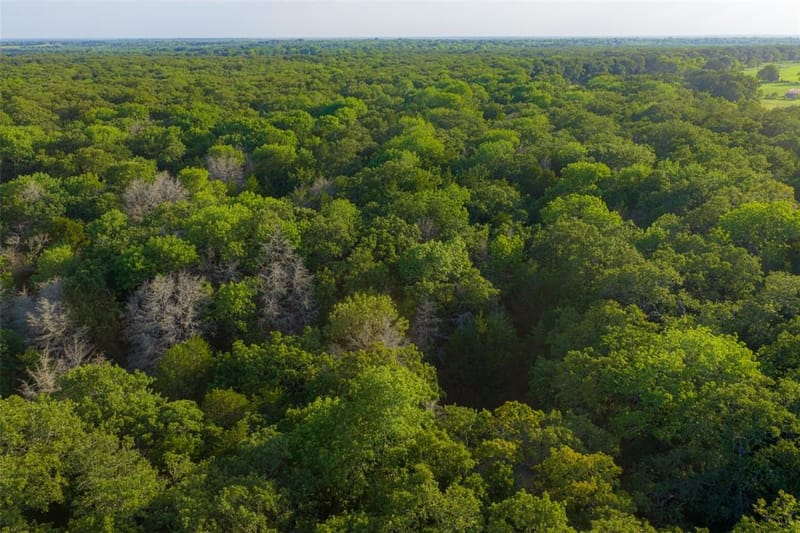 10100 County Road 4028, Kemp TX 75143 - Photo 35