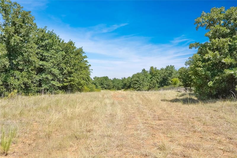 6551 Crooked Creek Road, Jacksboro TX 76458 - Photo 17