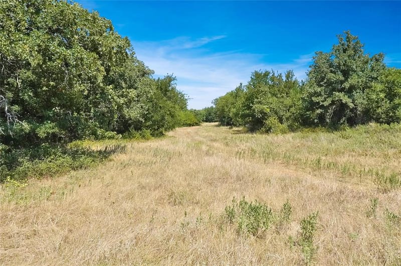 6551 Crooked Creek Road, Jacksboro TX 76458 - Photo 16