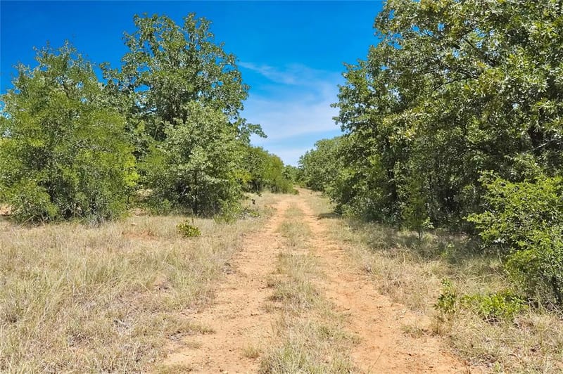 6551 Crooked Creek Road, Jacksboro TX 76458 - Photo 24