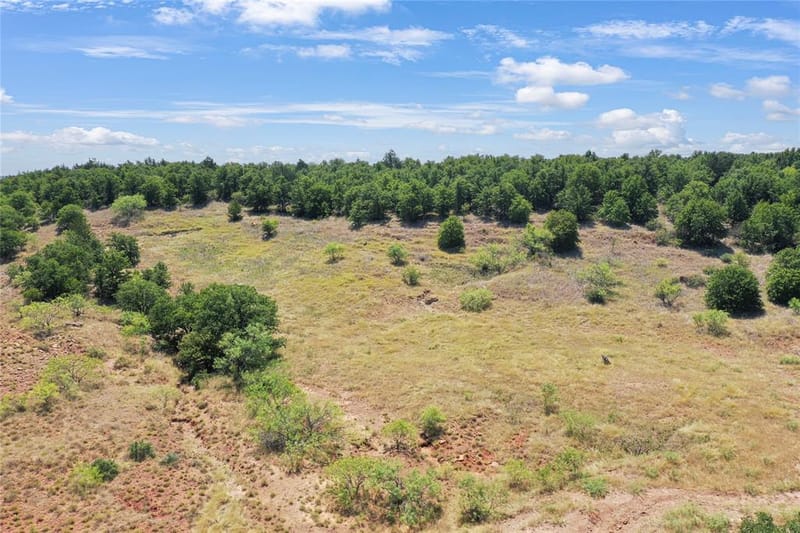 6551 Crooked Creek Road, Jacksboro TX 76458 - Photo 10
