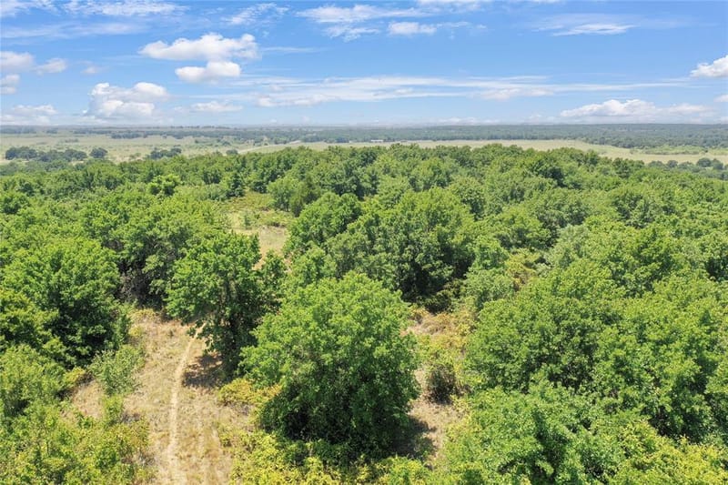 6551 Crooked Creek Road, Jacksboro TX 76458 - Photo 14