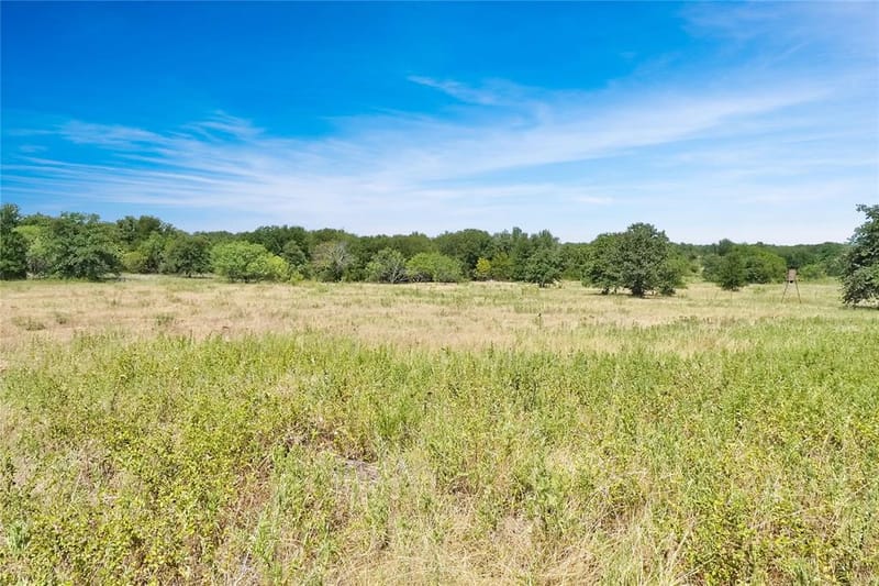 6551 Crooked Creek Road, Jacksboro TX 76458 - Photo 19