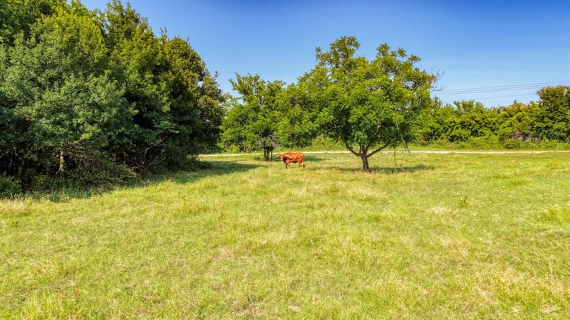 Laramie TBD N FM 51, Weatherford TX 76088 - Photo 16