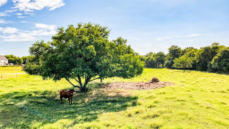 Laramie TBD N FM 51, Weatherford TX 76088 - Photo 14