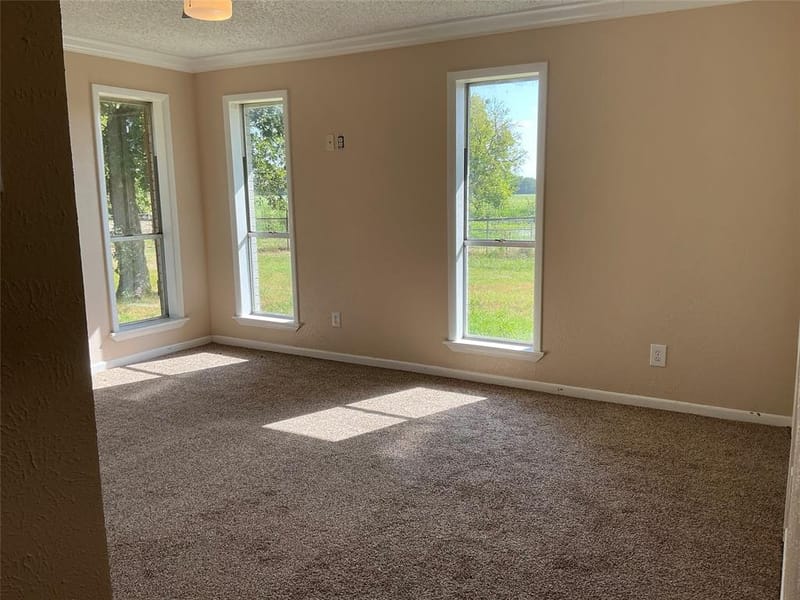 1131 Vz CR 3815, Wills Point TX 75169 - Photo 30