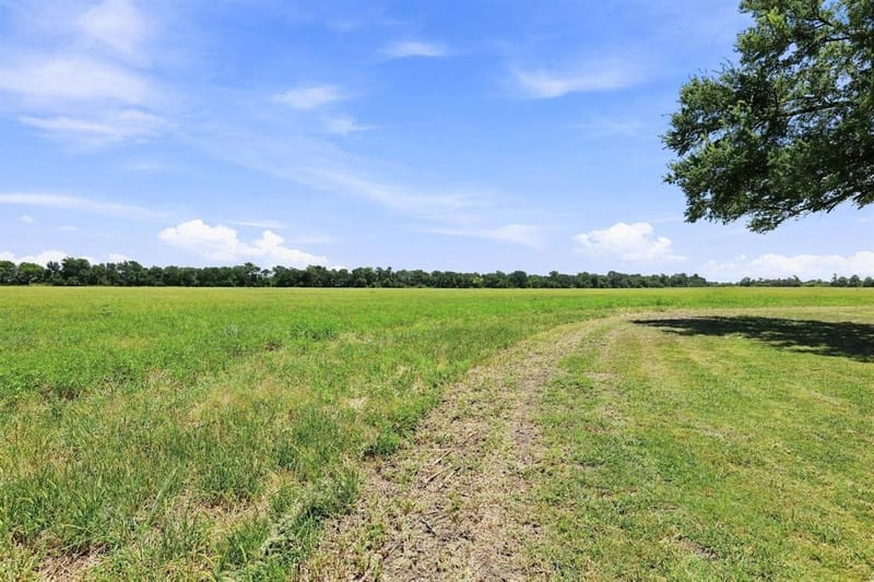 12097 Kyle Lane, Blue Ridge TX 75424 - Photo 7