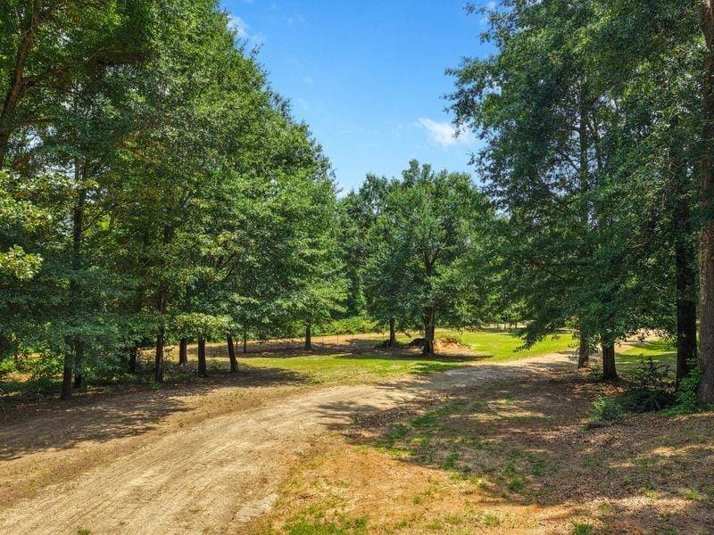2226 Holly Road, Gilmer TX 75644 - Photo 6