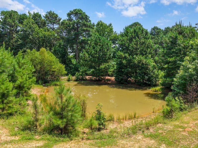 2226 Holly Road, Gilmer TX 75644 - Photo 10