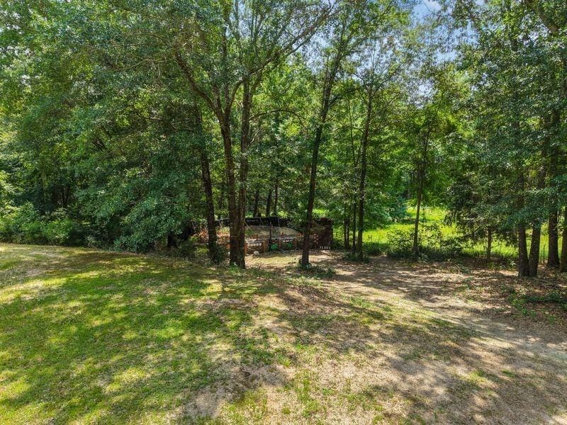 2226 Holly Road, Gilmer TX 75644 - Photo 11