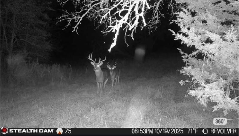 3636 State Highway 56, Bells TX 75414 - Photo 38