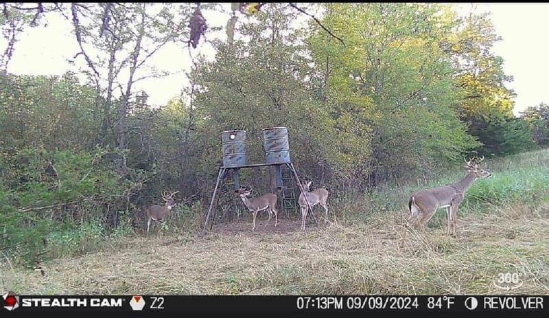 3636 State Highway 56, Bells TX 75414 - Photo 37