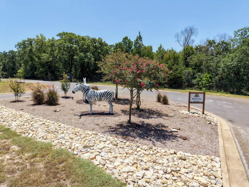 9236 Safari Bluff, Larue TX 75770 - Photo 35