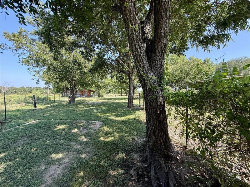 20959 Hwy 281, Hico TX 76457 - Photo 15