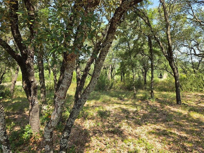 1705 County Road 318, Early TX 76802 - Photo 20