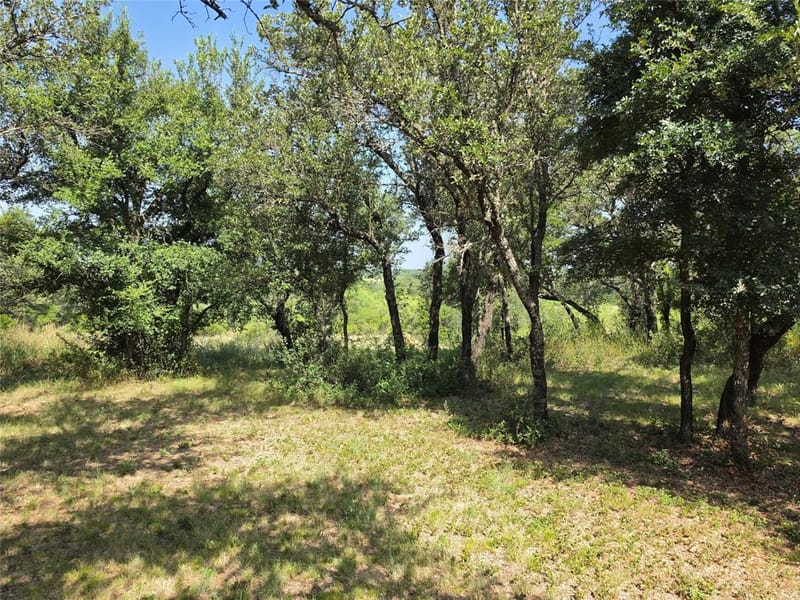 1705 County Road 318, Early TX 76802 - Photo 21