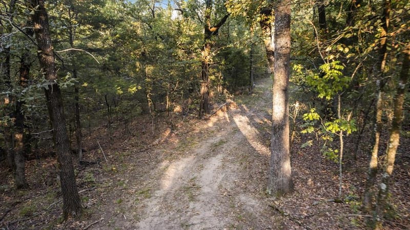 1473 County Road 2980, Windom TX 75492 - Photo 38