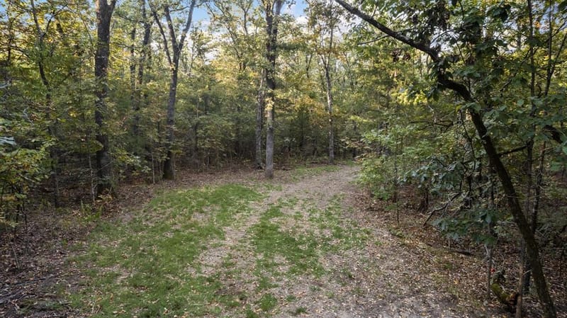 1473 County Road 2980, Windom TX 75492 - Photo 37