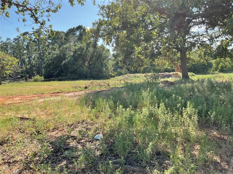 133 Firefly Drive, Springtown TX 76082 - Photo 18