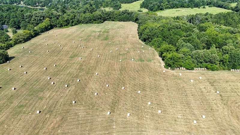457 County Road 3270, Mineola TX 75773 - Photo 13