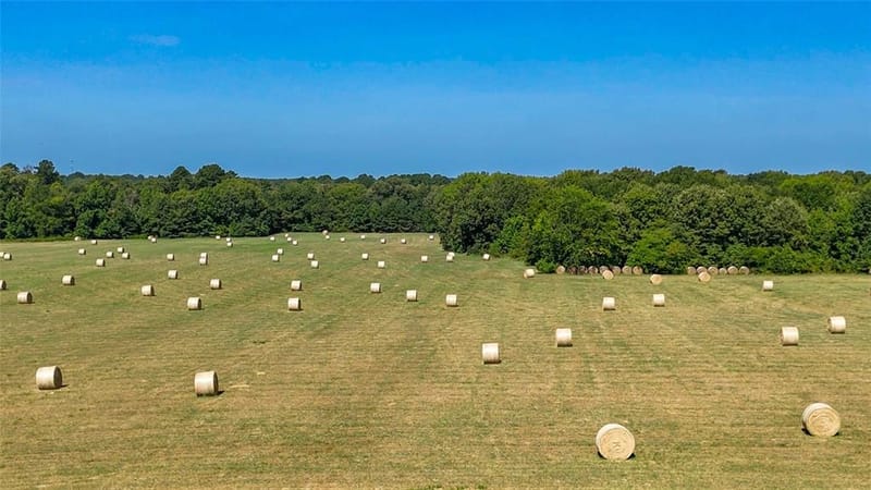 457 County Road 3270, Mineola TX 75773 - Photo 14
