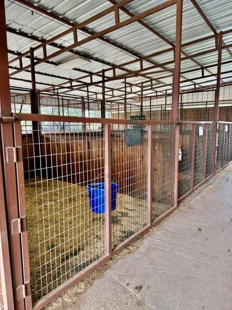 5026 Upper Montague Road, Bowie TX 76230 - Photo 15