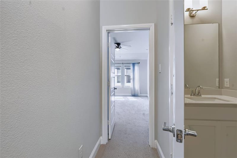 2528 Horsetail Road, Frisco TX 75033 - Photo 26